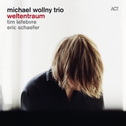 Michael Wollny - Little Person (feat. Tim Lefebvre & Eric Schaefer)