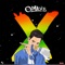 X (Moombahton Remix) - DJ Palacios lyrics