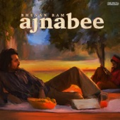 Ajnabee artwork