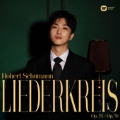 Schumann: Liederkreis, Op.24 - 9. Mit Myrthen und Rosen artwork