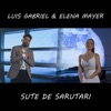 Sute De Sarutari (feat. Elena Mayer) - Single