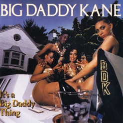 IT'S A BIG DADDY THING cover art
