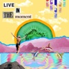 Live in the Moment (Live) [Live] - Single