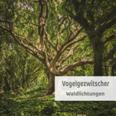 Waldlichtungen - Vogelgezwitscher