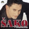 Šako Polumenta, 1999