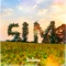 Sim artwork