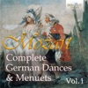 Slovak Sinfonietta, Tom van den Eynde & Wim Brioen - 16 Menuets, K. 176: XV. Menuet No. 15 in F Major