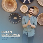 Elveda Diyemem (Akustik) artwork