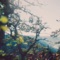 Cadia . - ewonee & Chill Children lyrics