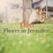 Flower in Jerusalem - Davi lyrics