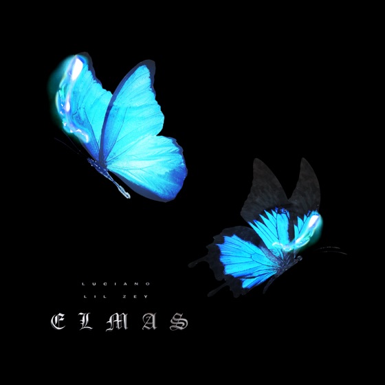 Cover artwork for ELMAS