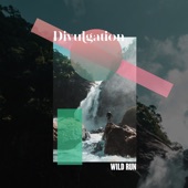Divulgation - Wild Run