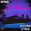 Never Gonna Let You Go - Single