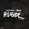 Hillside album lyrics, reviews, download