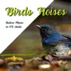 Birds Noises, Nature Music in 8D Audio album lyrics, reviews, download