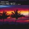 Feeling Nice (feat. Wasiu) - Arman Cekin lyrics
