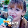 Widodari - Single