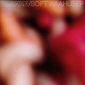 Soft Waahls - EP artwork