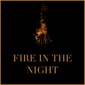 Michael Lane - Fire in the Night