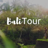 Bali Tour - A Collection of the Very Best in Indonesian Music, Balinese Music, Gamelan Music, Nature Sounds for Relaxation and Meditation artwork