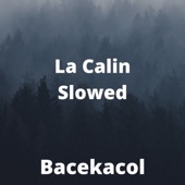 La Calin (Slowed) artwork