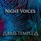 Night Voices - Bass Temple lyrics