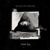 Alice In Chains - Rainier Fog artwork