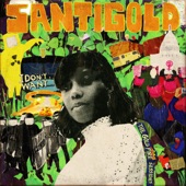 Santigold - Run the Road