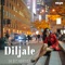 Diljale (Ek Din Reprise) [feat. Crehyl Pereira] - Sona Mohapatra & Ram Sampath lyrics
