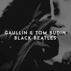 Black Beatles - Single by Gaullin & Tom Budin album reviews, ratings, credits