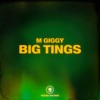 Big Tings - Single