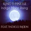 Indigo Moon Rising (Dub Mix) song lyrics