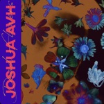 Joshuaavh - Dead Flowers