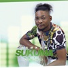 Sukuma (feat. Ntosh Gazi) - Single