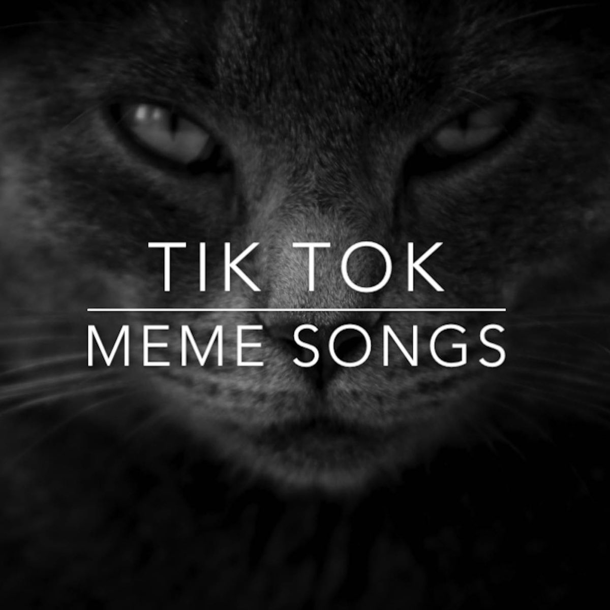 ‎Tik Tok Meme Songs by Various Artists on Apple Music