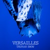 Truman Show by VERSAILLES iTunes Track 1