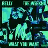 What You Want (feat. The Weeknd) - Single album lyrics, reviews, download