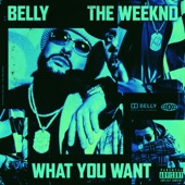 What You Want (feat. The Weeknd) artwork