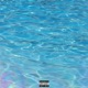 PURE WATER cover art