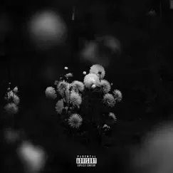 Blossom - Single by Euphorik album reviews, ratings, credits