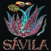 Sávila - Caballeras