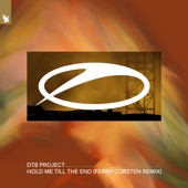 Hold Me Till the End (Ferry Corsten Extended Remix) artwork
