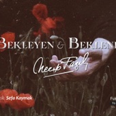 Necip Fazıl Kısakürek - Bekleyen&Beklenen artwork