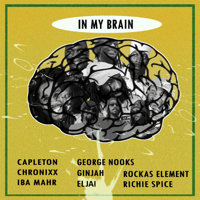 Various Artists - In My Brain artwork