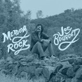 Joe Bourdet - Songbird Revisited