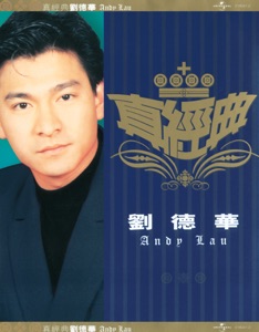 Andy Lau (刘德华) - The Days We Spent Together (一起走过的日子) - Line Dance Music