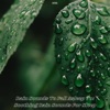 Rain Sounds to Fall Asleep To: Soothing Rain Sounds for Sleep