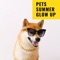 Dog Music Dreams - Sleepy Dogs, Music For Cats & Dog Music lyrics