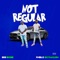 Not Regular (feat. Pablo Skywalkin) - BigBossbto lyrics