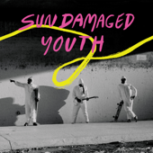 Sun Damaged Youth - The Donkeys